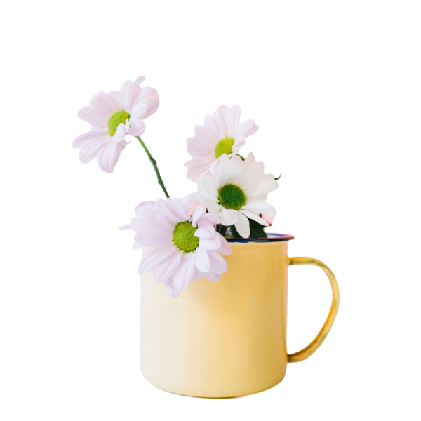 باکس گل رز هلندی ۳۰ شاخه - تصویر 2